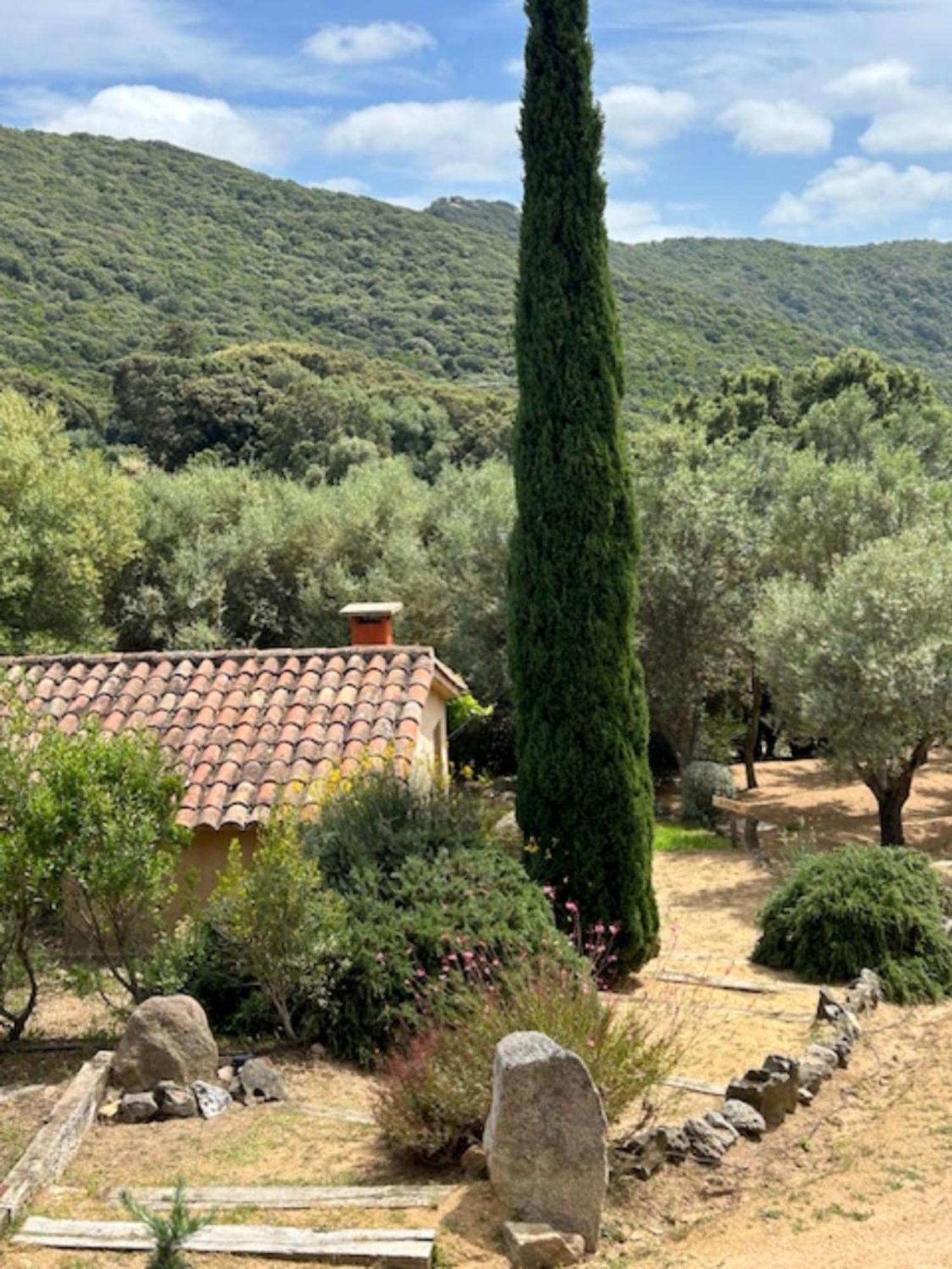 Auberge U Sirenu Sartene  Exterior photo